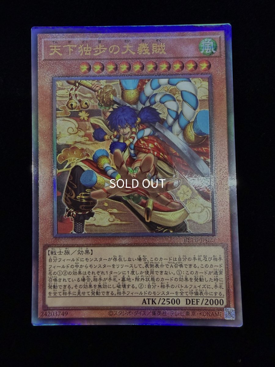 画像1: 天下独歩の大義賊(商品詳細はDMMマイカモールをご確認ください） (1)